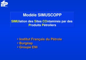 thumbnail of simuscopppresentationFR